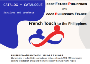 free flash website